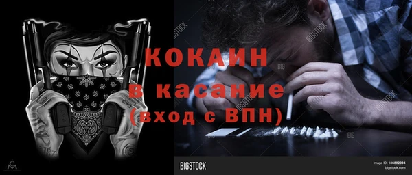 ПСИЛОЦИБИНОВЫЕ ГРИБЫ Абаза