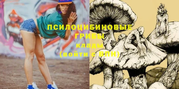 ПСИЛОЦИБИНОВЫЕ ГРИБЫ Абаза