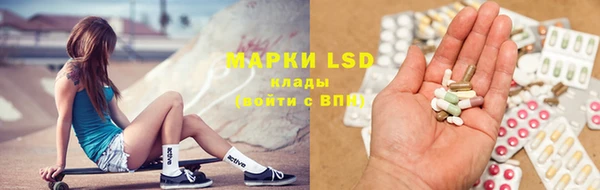 ПСИЛОЦИБИНОВЫЕ ГРИБЫ Абаза