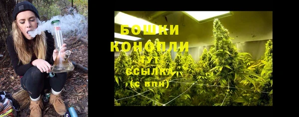 ПСИЛОЦИБИНОВЫЕ ГРИБЫ Абаза