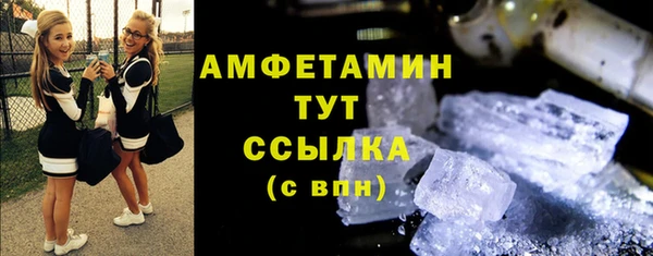 ПСИЛОЦИБИНОВЫЕ ГРИБЫ Абаза
