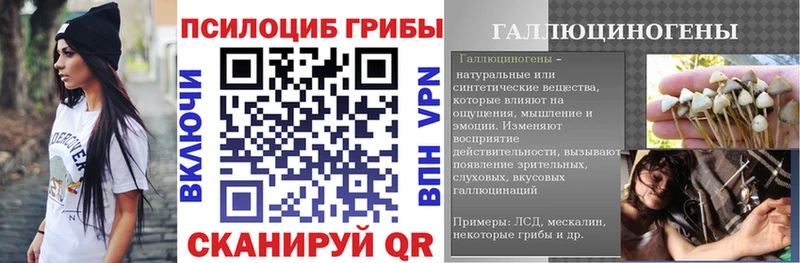Галлюциногенные грибы Psilocybine cubensis  наркошоп  кракен tor  Красково 